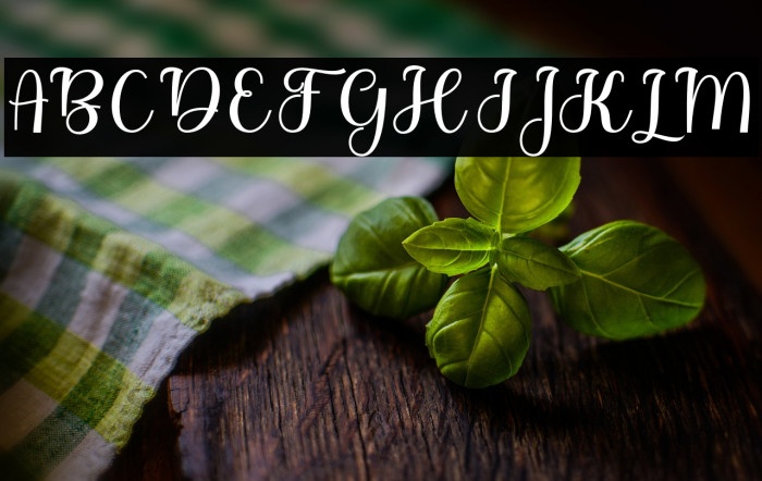 BitgetteScript Example 1