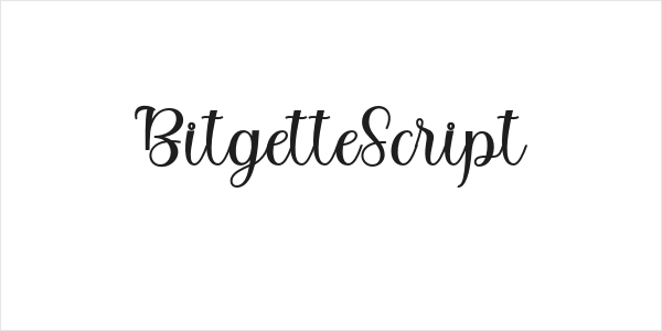 BitgetteScript Logo