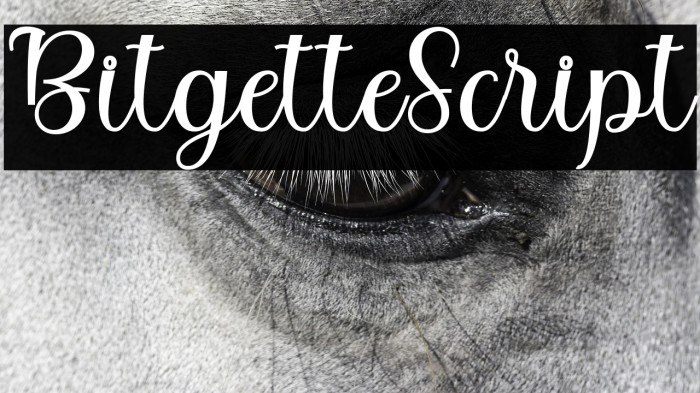 BitgetteScript Example 1