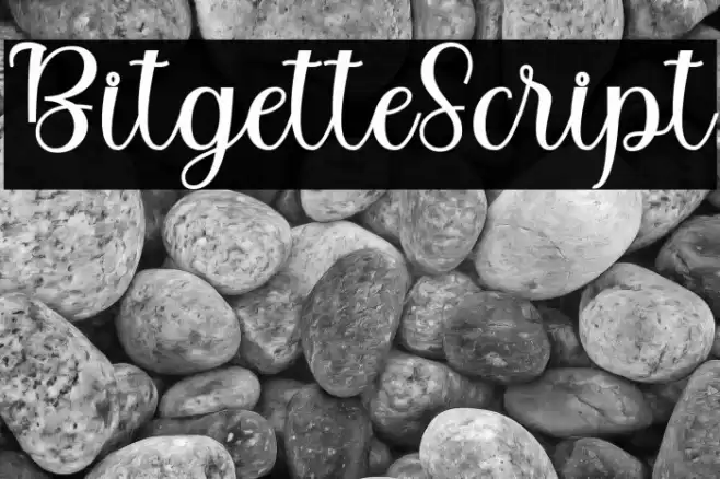 BitgetteScript Font examples