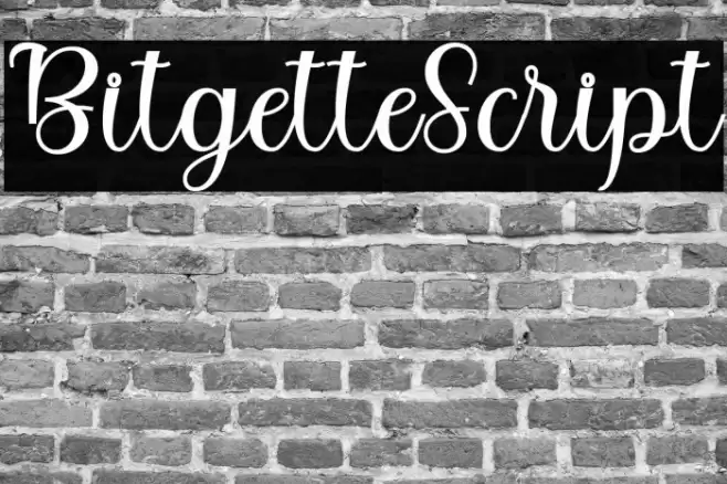 BitgetteScript Font examples