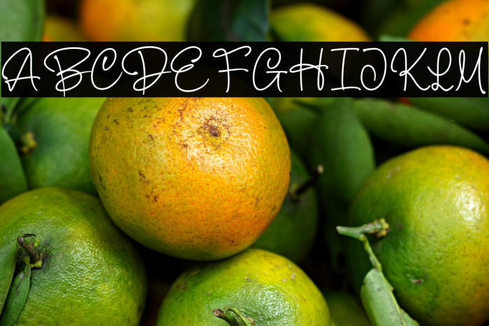 Bithea फ़ॉन्ट examples