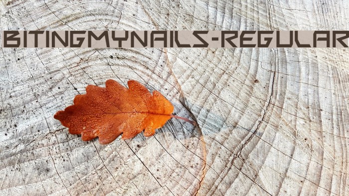 BitingMyNails-Regular Font examples