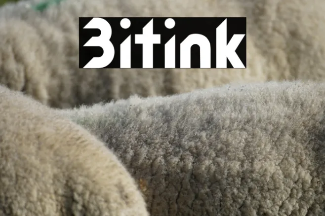 Bitink Example 3