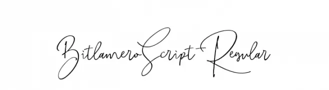 BitlameroScript-Regular  Free Fonts Download