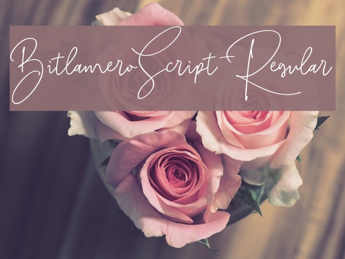 BitlameroScript-Regular Example 1