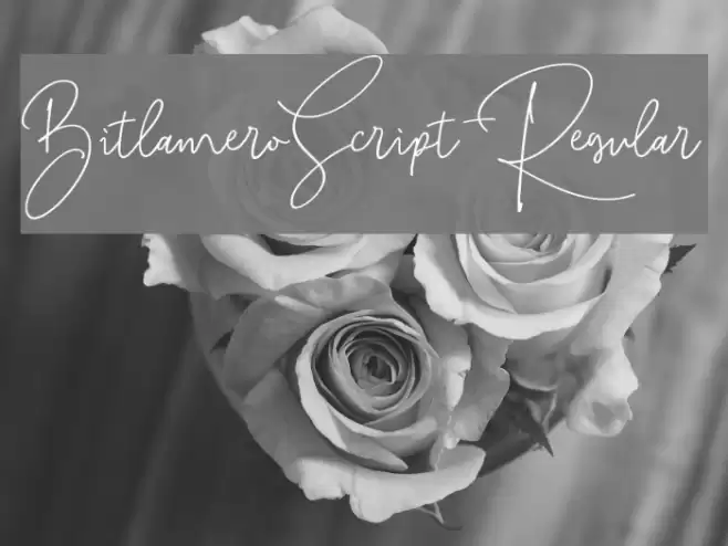 BitlameroScript-Regular Font examples