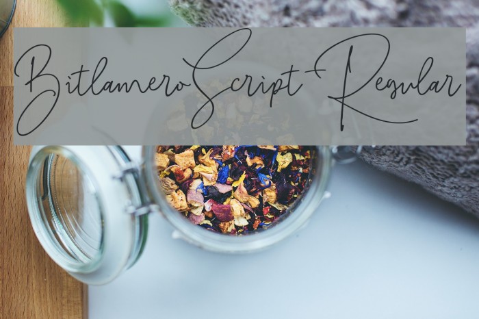 BitlameroScript-Regular Example 2