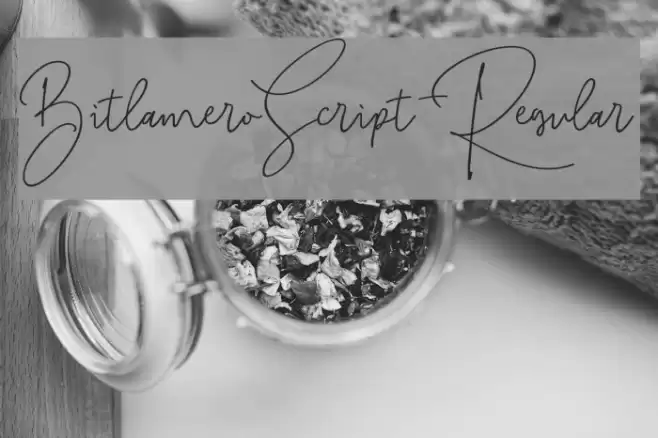 BitlameroScript-Regular Font examples