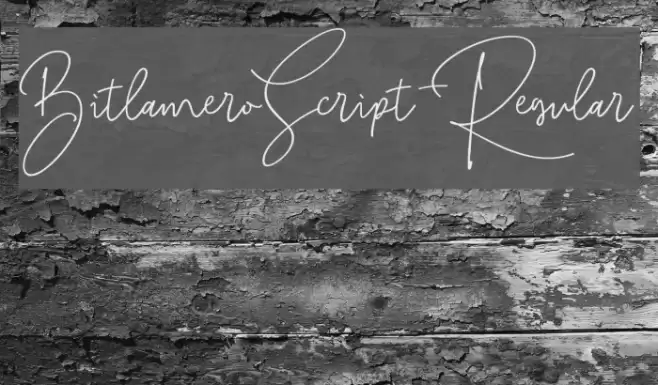 BitlameroScript-Regular Font examples