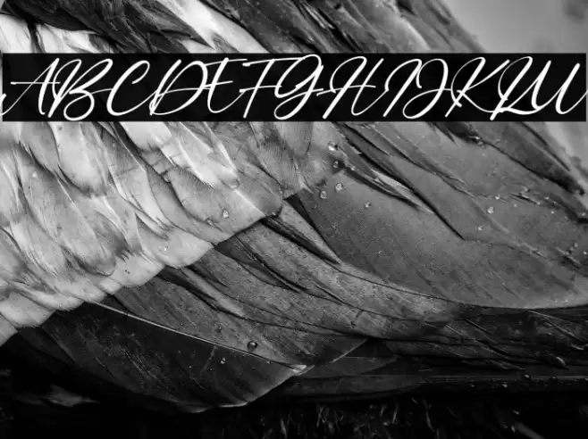 Bitley Anthem Font examples