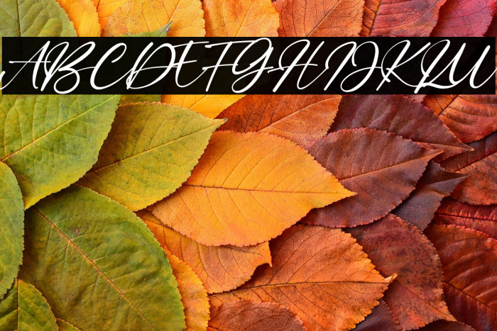 Bitley Anthem Example 2