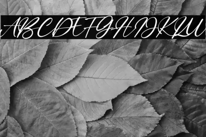 Bitley Anthem Font examples