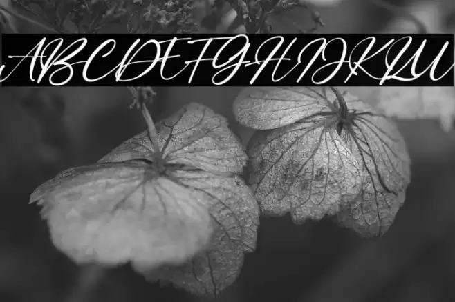 Bitley Anthem Font examples