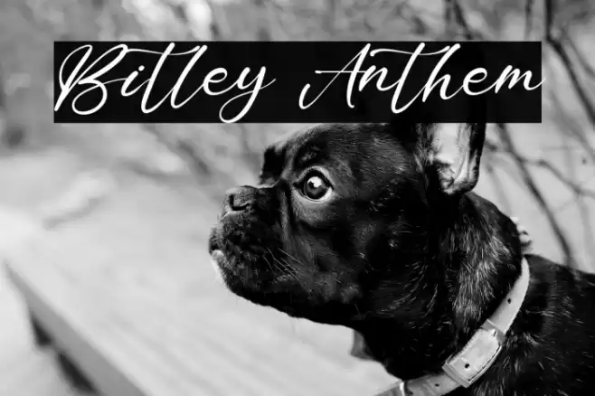 Bitley Anthem Font examples