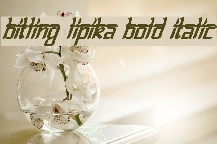 Bitling lipika Bold Italic Example 3