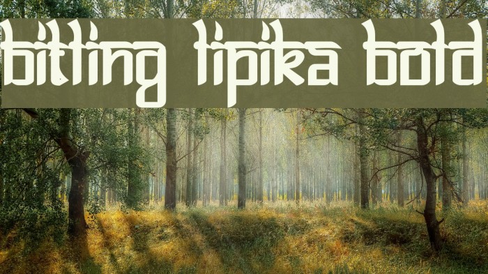 Bitling lipika Bold Example 2