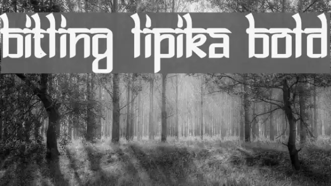 Bitling lipika Bold Font examples