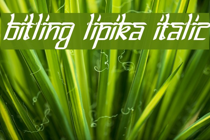 Bitling lipika Italic Font examples