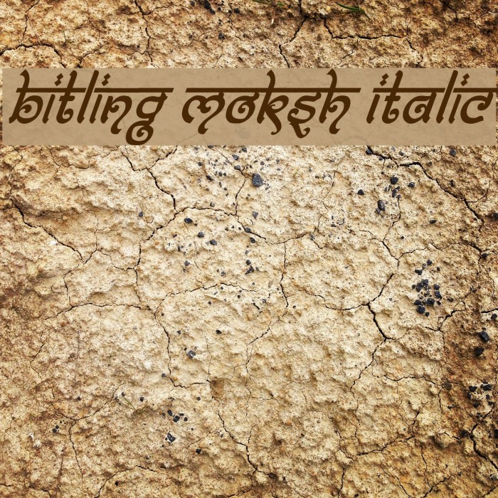 Bitling moksh Italic Font examples