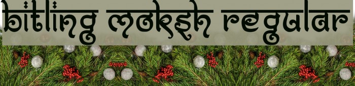 Bitling moksh Regular Font examples