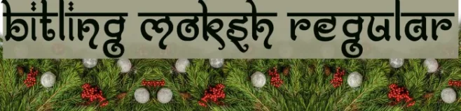 Bitling moksh Regular Example 1