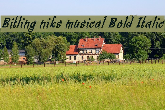 Bitling niks musical Bold Italic Font examples