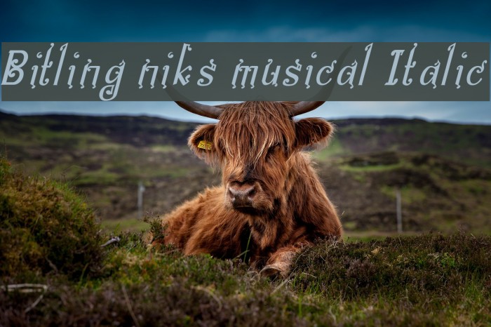 Bitling niks musical Italic Example 1