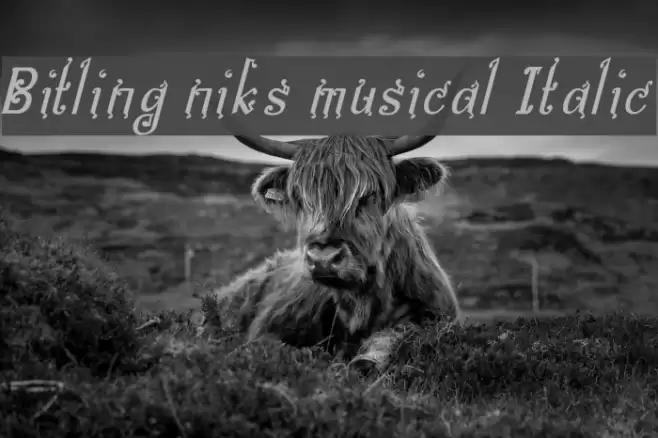 Bitling niks musical Italic Font examples