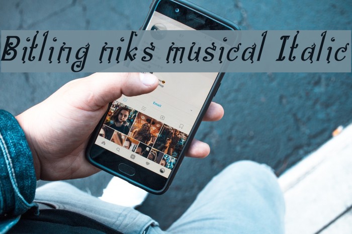 Bitling niks musical Italic Example 3