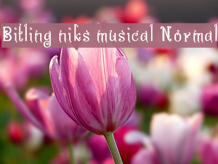 Bitling niks musical Normal Font examples