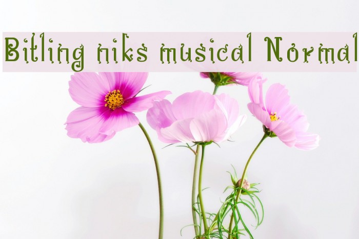 Bitling niks musical Normal Font examples