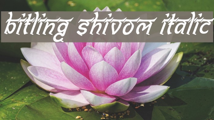 Bitling shivom Italic Font examples