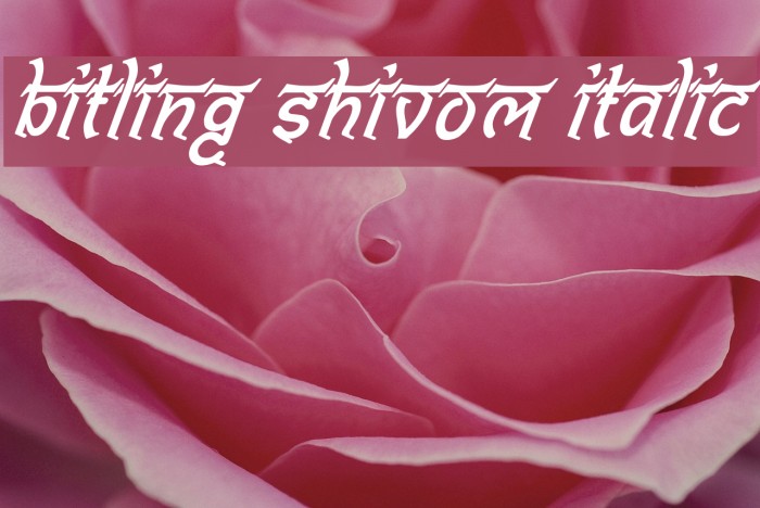 Bitling shivom Italic Font examples