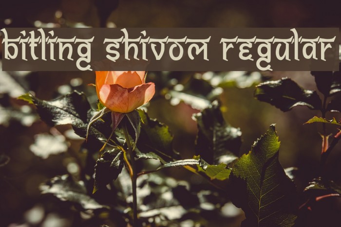 Bitling shivom Regular Font examples