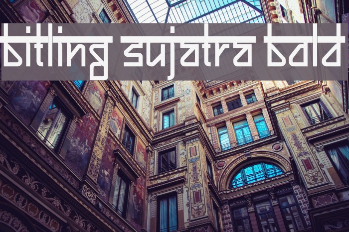 Bitling sujatra Bold Example 1