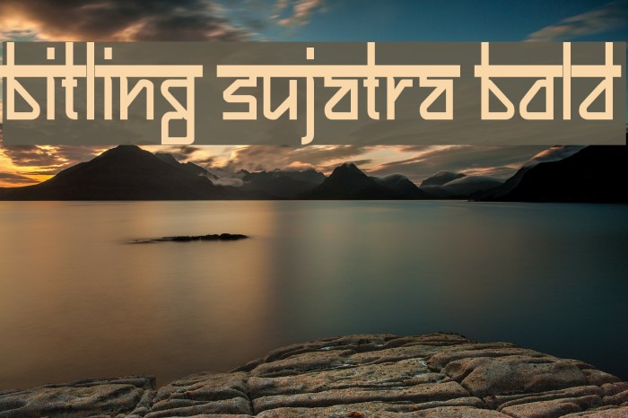 Bitling sujatra Bold Example 2