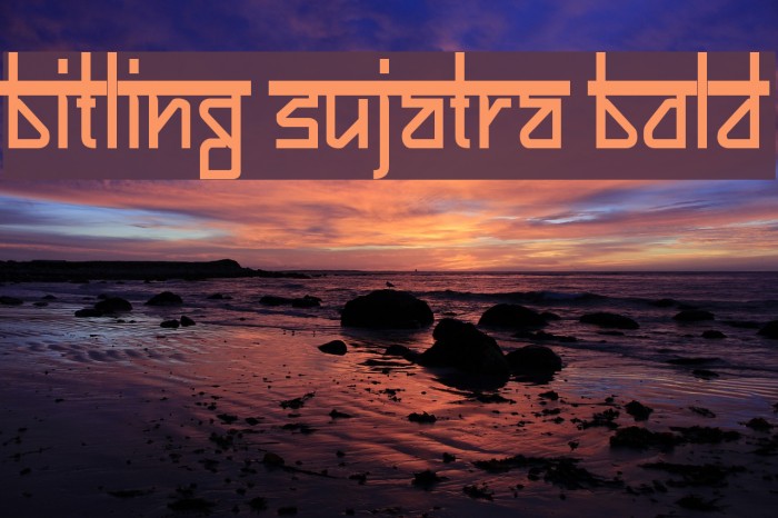 Bitling sujatra Bold Example 3