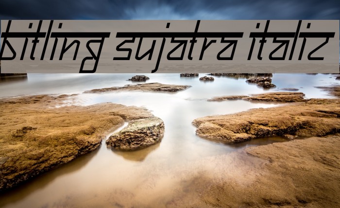 Bitling sujatra Italic Font examples
