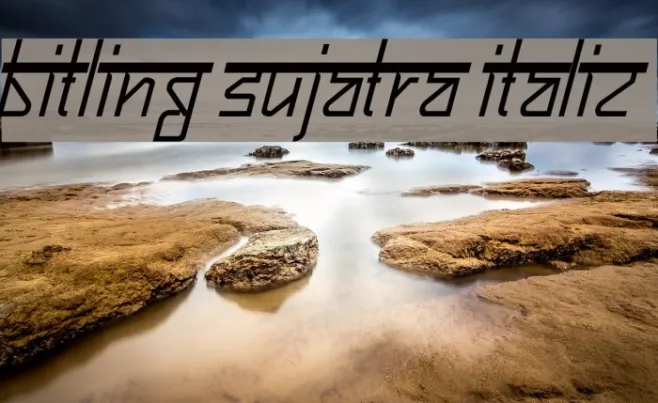 Bitling sujatra Italic Example 1
