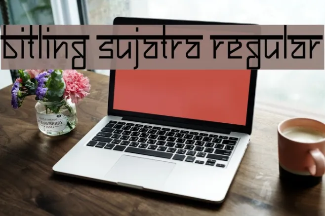 Bitling sujatra Regular Example 3