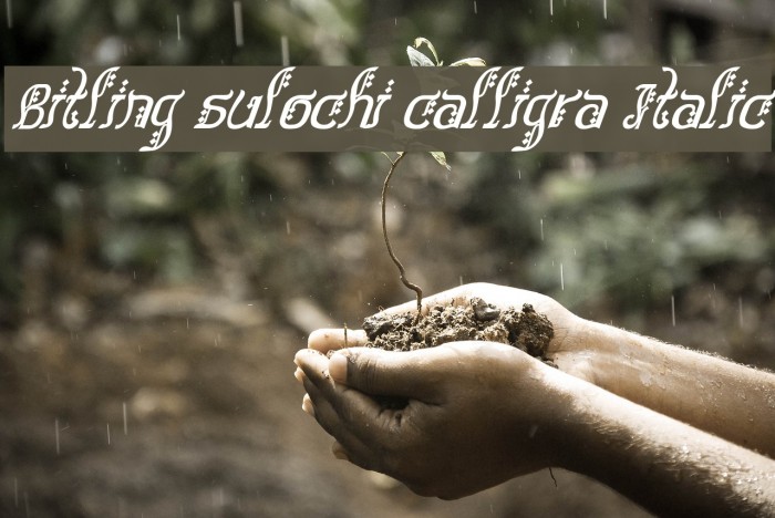 Bitling sulochi calligra Italic Font examples