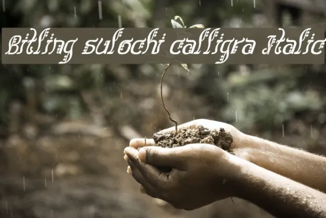 Bitling sulochi calligra Italic Example 1