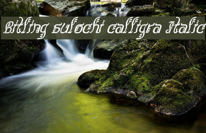 Bitling sulochi calligra Italic Font examples