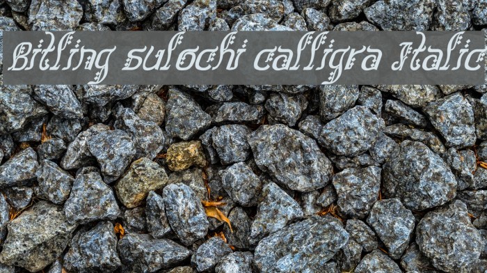 Bitling sulochi calligra Italic Font examples