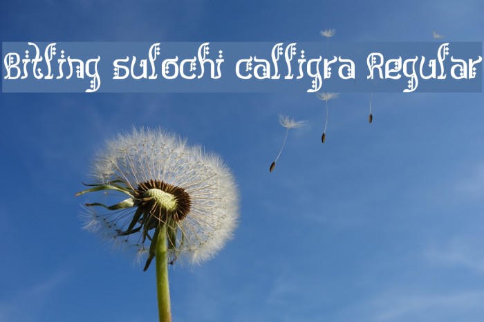 Bitling sulochi calligra Regular Font examples