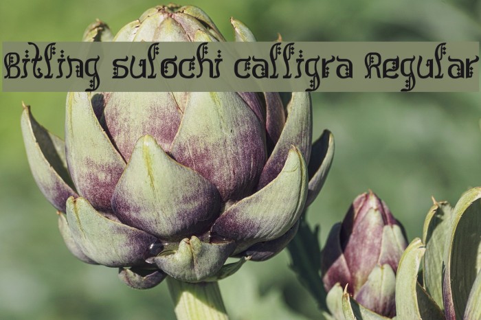 Bitling sulochi calligra Regular Font examples
