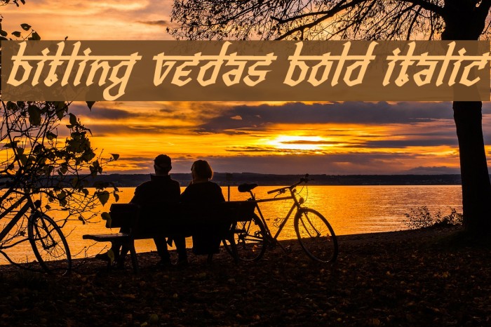 Bitling vedas Bold Italic Example 2
