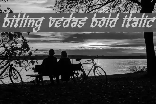 Bitling vedas Bold Italic Font examples