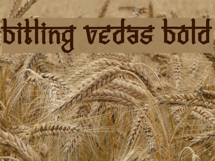 Bitling vedas Bold Font examples
